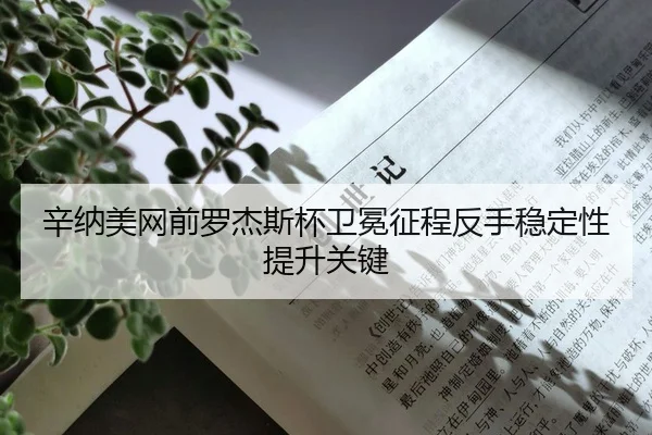 xin-na-mei-wang-qian-luo-jie-si-bei-wei-mian-zheng-cheng-fan-shou-wen-ding-xing-ti-sheng-guan-jian-2-994.jpg